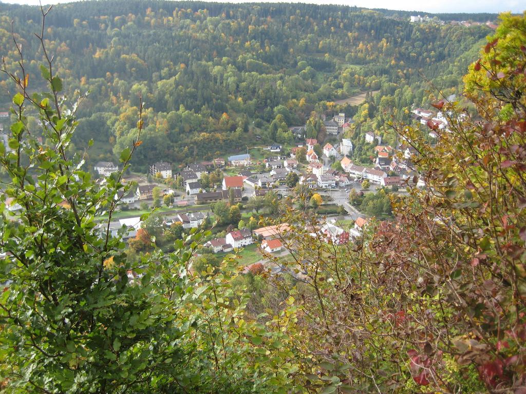 Gaestehaus Krone Oberndorf am Neckar Room photo